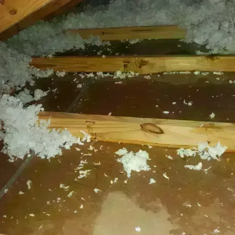 Attic Water Damage in West Valley, WA