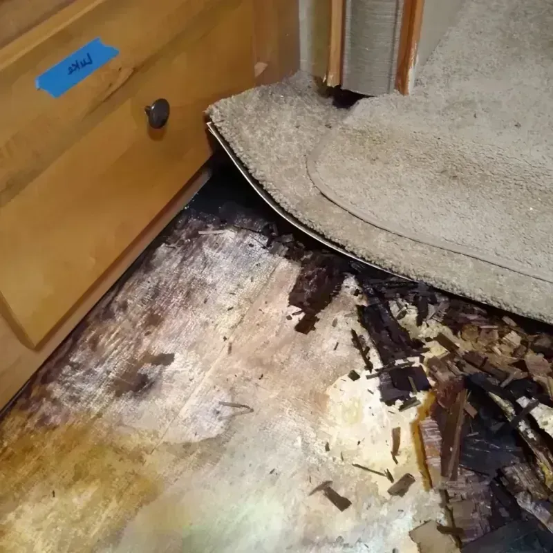 Wood Floor Water Damage in West Valley, WA